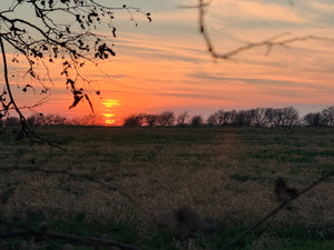 No time to waste – choosing presence and intentional living