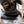 Person wearing a black t-shirt with a logo and text in a gym setting
