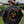 Man wearing a gray t-shirt with a orange and black logo outdoors